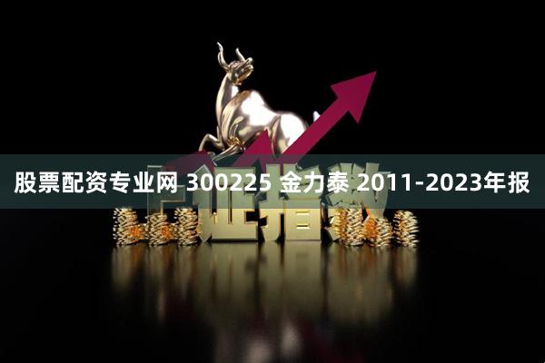 股票配资专业网 300225 金力泰 2011-2023年报