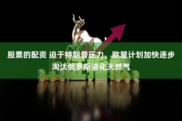 股票的配资 迫于特朗普压力，欧盟计划加快逐步淘汰俄罗斯液化天然气
